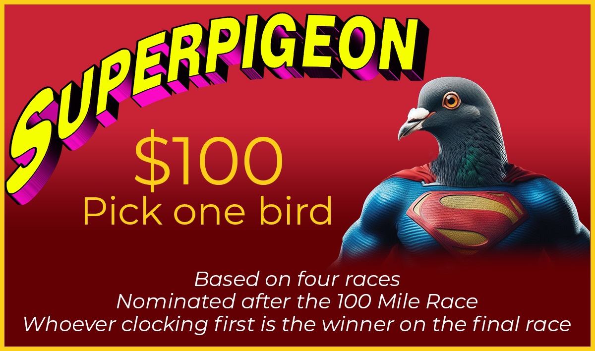 superpigeon